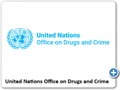 United Nations Office on Drugs and Crime (UNODC)